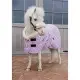 Kentucky Show deken Sammy